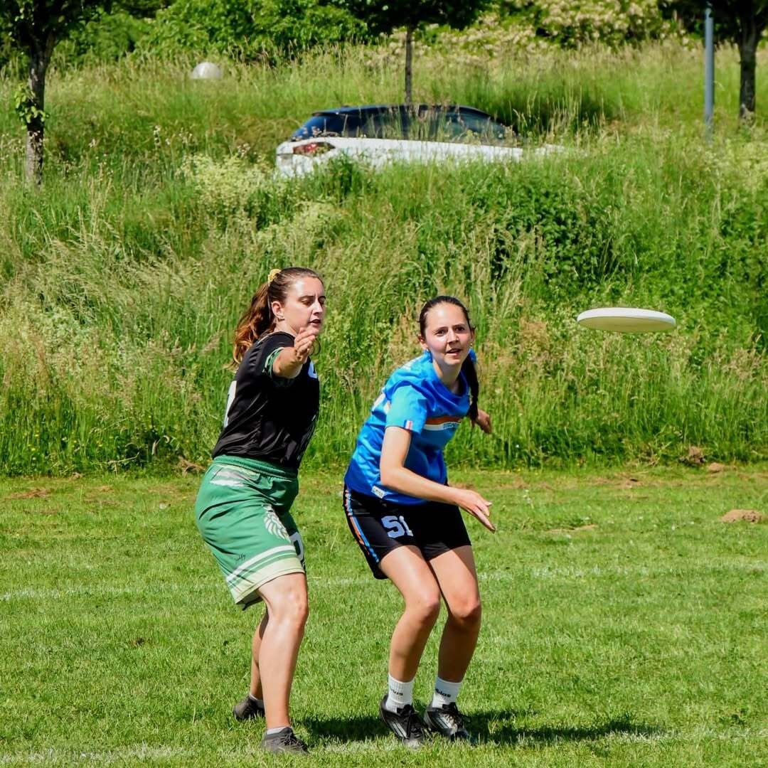 Alpes Françaises